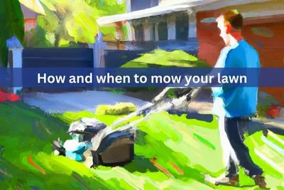 Tips on how and when to mow your lawn