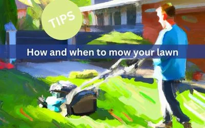 Tips on how and when to mow your lawn