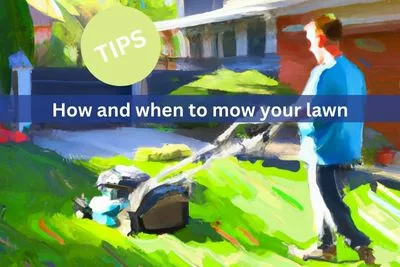 Tips on how and when to mow your lawn